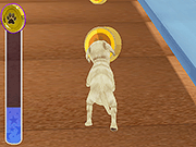 play Pet Run Adventure Puppy Run