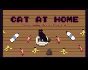 play Cat At Home
