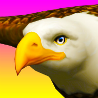 play Eagle Simulator