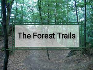 play The Forest Trails