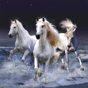 play Horses Slide