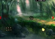 play Fun Bigroot Forest