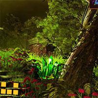 play 365 Little Forest Adventure