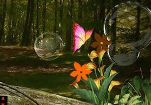 play Little Forest Adventure
