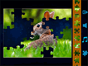play Jigsaw Puzzles Classic