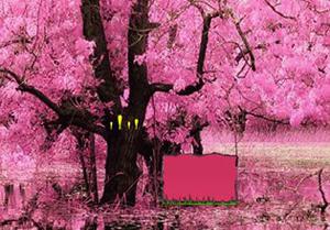 play Lovely Blossom Forest Escape