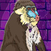 play G2J The Baboon Escape