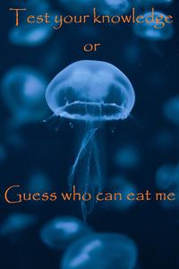 play Who Is Your Natural Enemy? Test