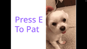play Press E To Pat