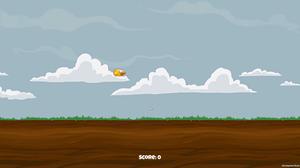 play Bird Music