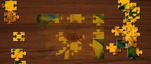 play Jigsaw Puzzle