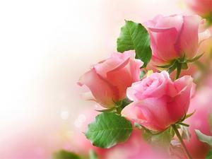 play Pink Roses Puzzle