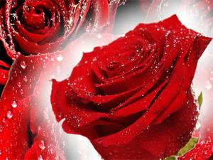 play Red Roses Puzzle