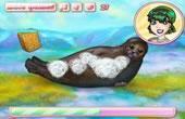 play Seal