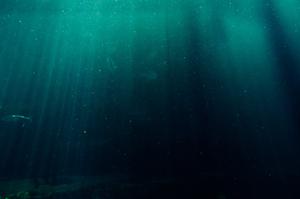 play Deepsea Dive