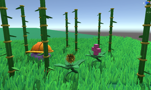 play Nature'S Bounty