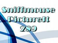play Pictureit 289