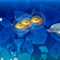 play My Dolphin Show 6