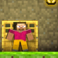 play Minecaves