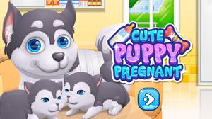 play Cute Puppy Pregnant