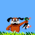 play Duck Hunt