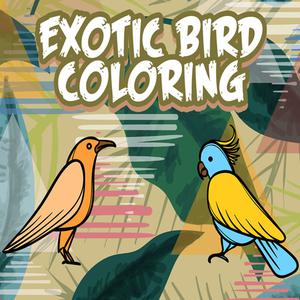 play Exotic Birds Coloring