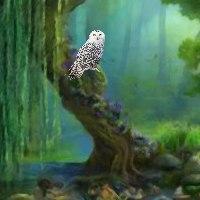 play Fun Hidden Owl Forest Fun Escape