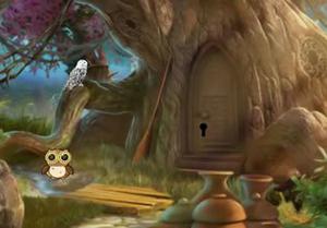 play Hidden Owl Forest