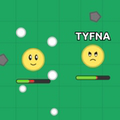 play Florr.Io