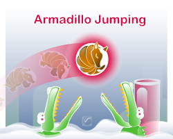 play Armadillo Jumping