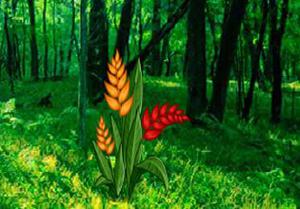 play Find The Golden Flower