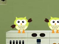 play Witch Owl Escape