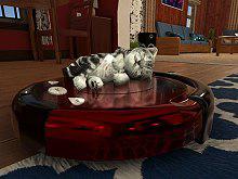 play Cat Simulator: Kitty Craft