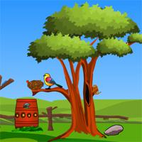 Games4Escape Pleasant Forest Escape