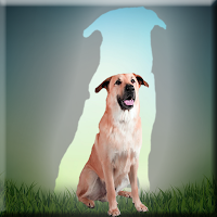 play G2J Chinook Dog Escape
