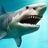 play Megalodon