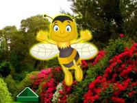 play Pair Of Honeybee