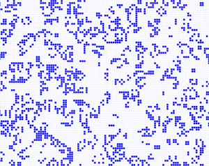 play Cellular Automata Sim