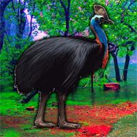 play Escape Game Save The Cassowary