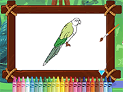 play Parrot Pal Coloring