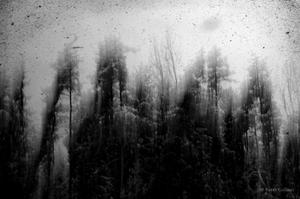 play Not Unlike The Waves