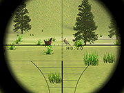 play Classical Rabbit Hunting