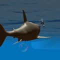 play Megalodon