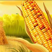 play Hog Hidden Corn Grasshopper