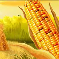 play Hidden-Corn-Grasshopper