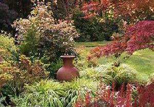 play Mossy Garden Escape