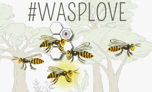 play The #Wasplove Game