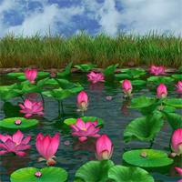 play Hidden Lotus