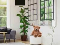 play Family Room