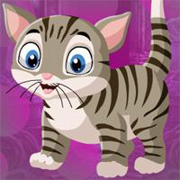 play Games4King Lovely Cat Escape